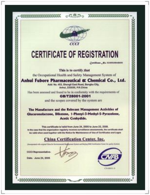 GB / T28001-2001 Occupational Health and Safety Management System Certification
